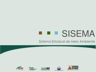 sistema estadual de meio ambiente