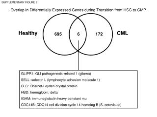 Overlap in Differentially Expressed Genes during Transition from HSC to CMP