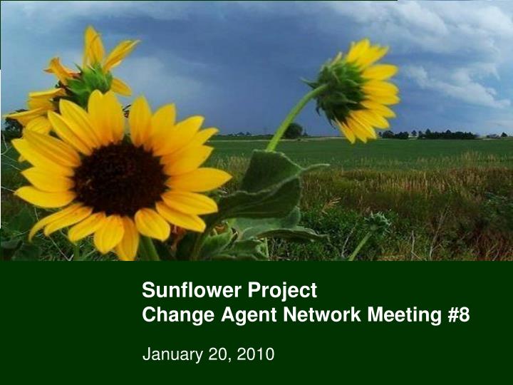 sunflower project change agent network meeting 8