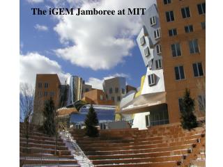 The iGEM Jamboree at MIT