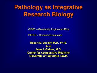 Pathology as Integrative Research Biology