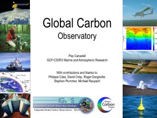 Integrated Global Carbon Observations - IGCO