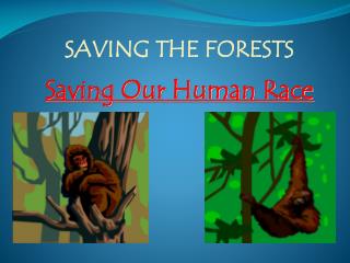 SAVING THE FORESTS