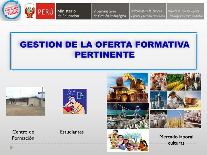 gestion de la oferta formativa pertinente