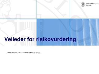 veileder for risikovurdering