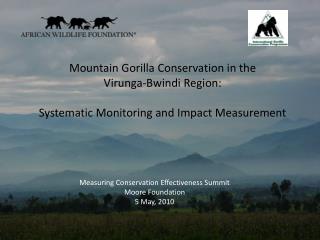 Mountain Gorilla Conservation in the Virunga-Bwindi Region: