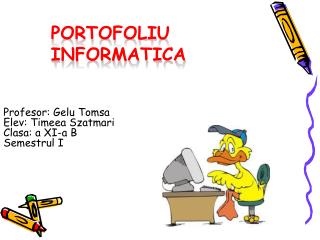 portofoliu informatica