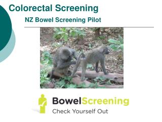 Colorectal Screening NZ Bowel Screening Pilot