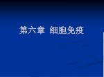 第六章 细胞免疫 - slide 1