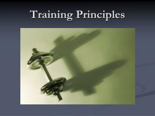 Training Principles