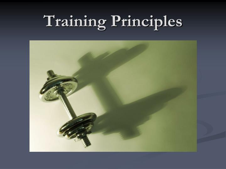 training principles