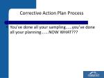 Corrective Action Plan Process