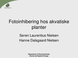 Fotoinhibering hos akvatiske planter