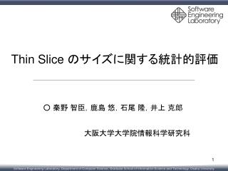 thin slice