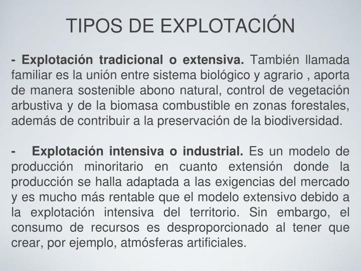 tipos de explotaci n