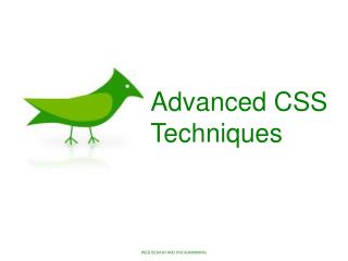 Advanced CSS Techniques