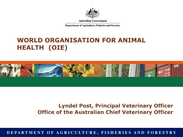 world organisation for animal health oie
