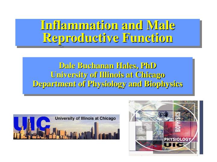 inflammation and male reproductive function