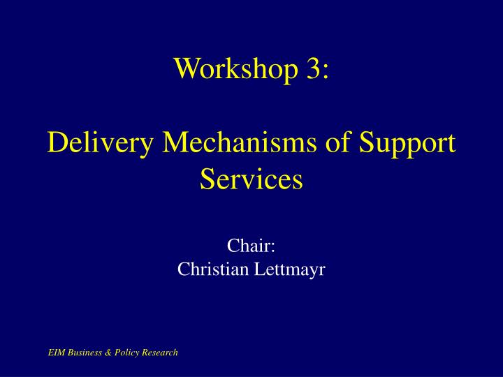 workshop 3 delivery mechanisms of support services chair christian lettmayr