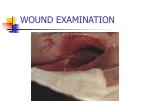 WOUND EXAMINATION - slide 1