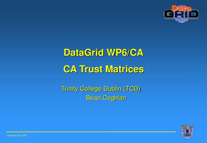 datagrid wp 6 ca ca trust matrices