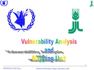 Vulnerability Analysis and Mapping Unit