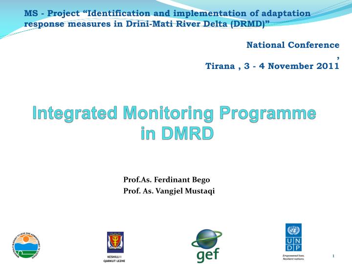 integrated monitoring programme in dmrd