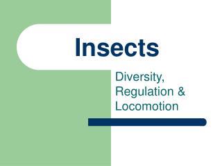 Insects