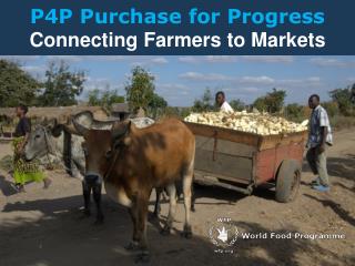 P4P Purchase for Progress Connecting Farmers to Markets