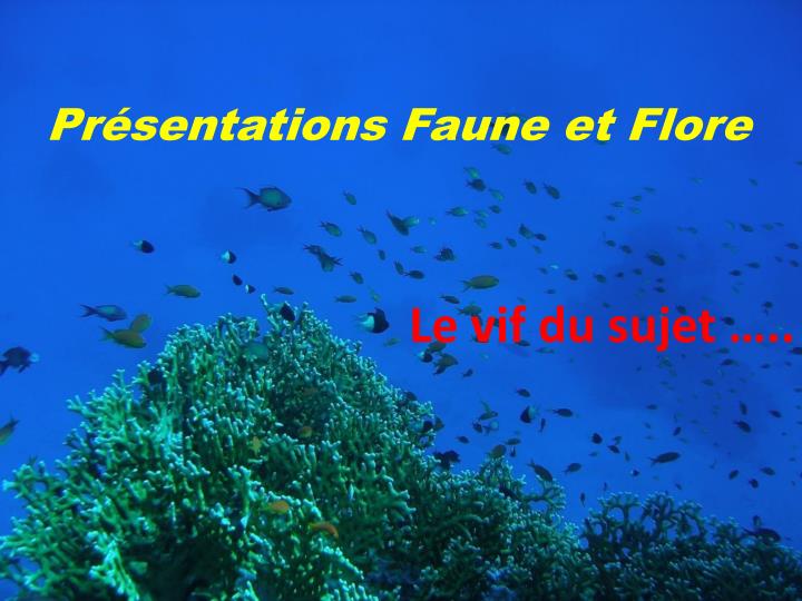 pr sentations faune et flore