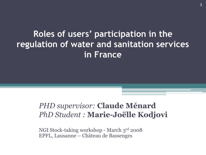 roles of users participation in the regulation of water and sanitation services in france