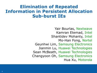 Elimination of Repeated Information in Persistent Allocation Sub-burst IEs