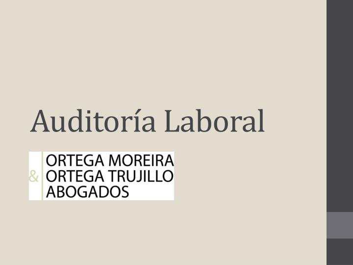 auditor a laboral