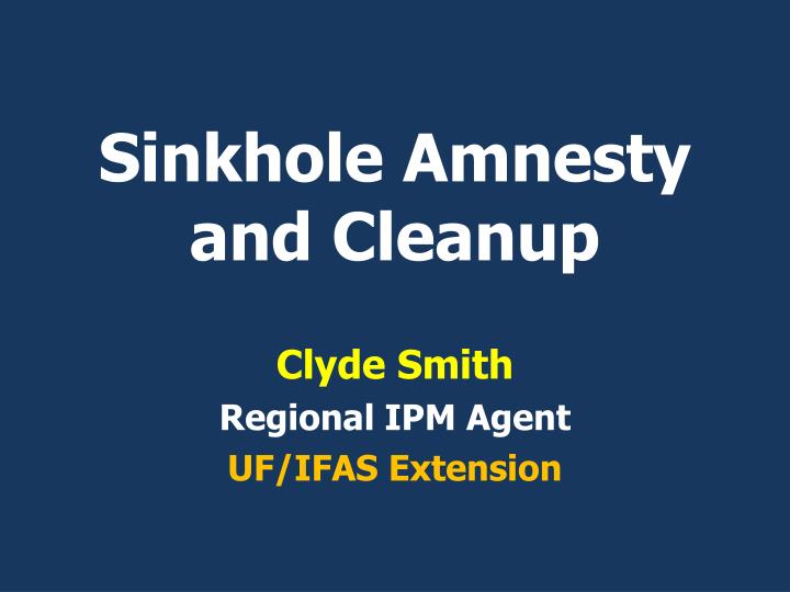 sinkhole amnesty and cleanup