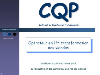 cqp certificat de qualification professionnelle