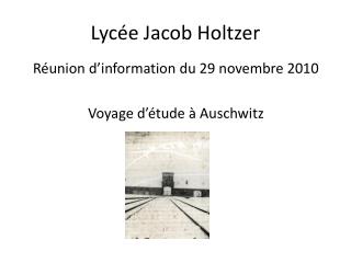 lyc e jacob holtzer