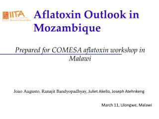 Aflatoxin Outlook in Mozambique