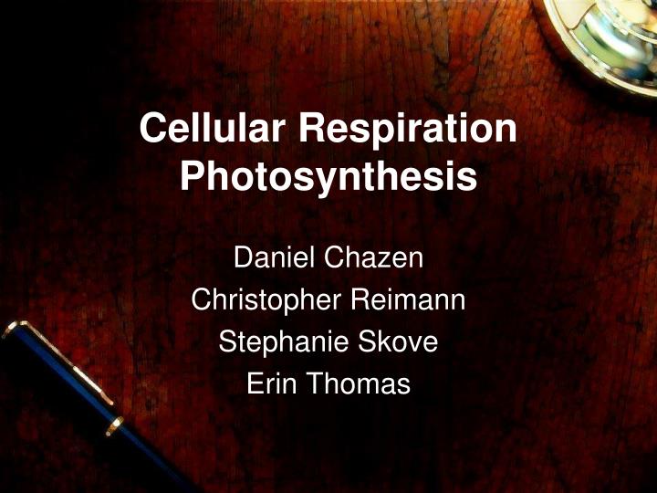 cellular respiration photosynthesis
