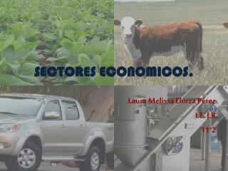 sectores economicos