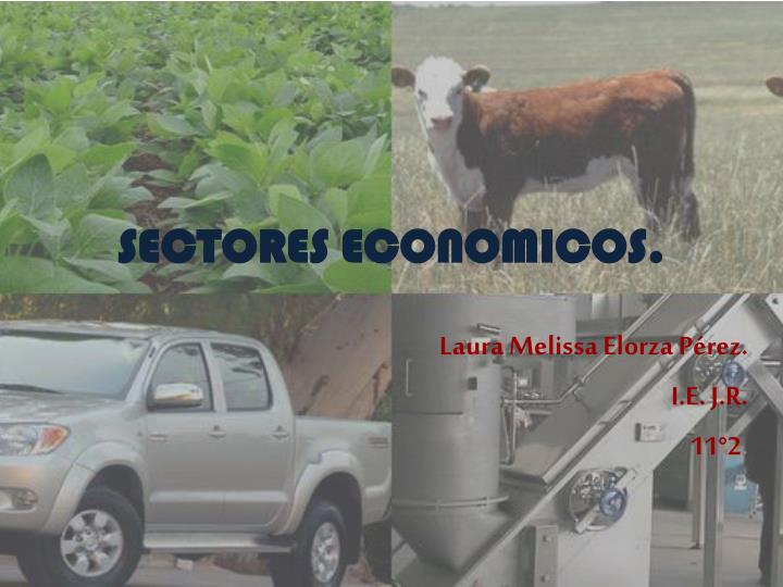 sectores economicos