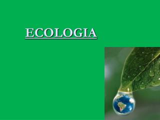 ecologia