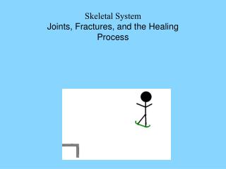 Skeletal System Joints, Fractures, and the Healing Process