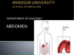 WINDSOR UNIVERSITY SCHOOL OF MEDICINE - slide 1