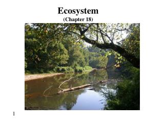 Ecosystem (Chapter 18)