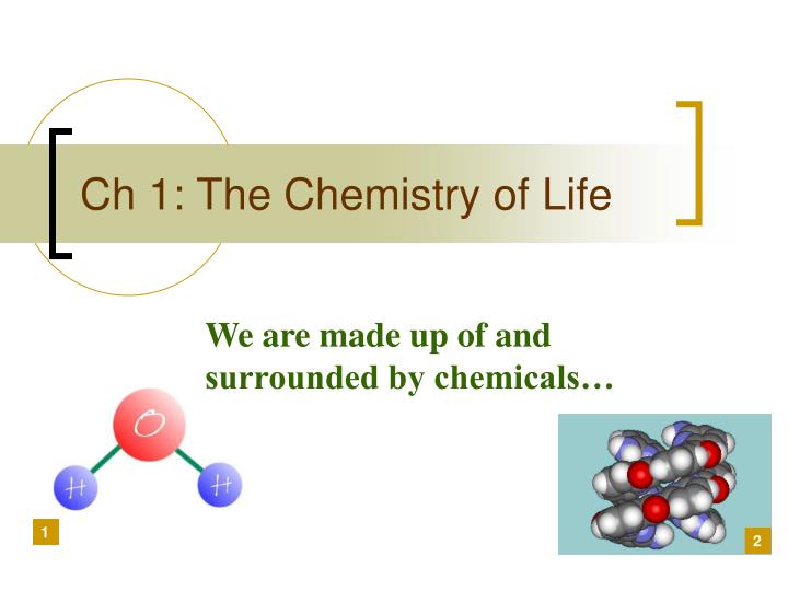 ch 1 the chemistry of life