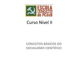 curso n vel ii