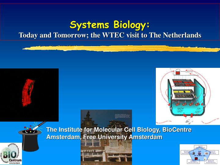 systems biology today and tomorrow the wtec visit to the netherlands