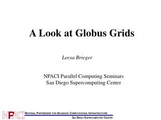 A Look at Globus Grids