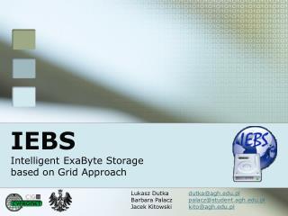 IEBS Intelligent ExaByte Storage based on Grid Approach