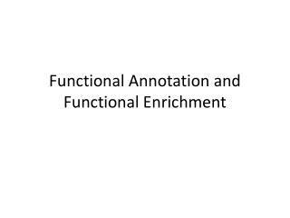 Functional Annotation and Functional Enrichment